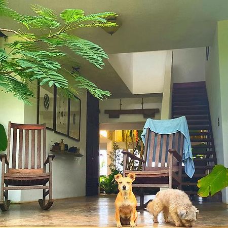 El Hotelito At The Rainforest Experience Farm Fajardo Luaran gambar