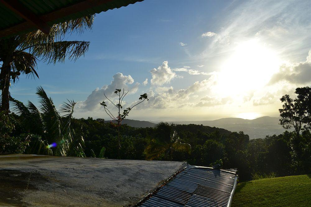 El Hotelito At The Rainforest Experience Farm Fajardo Luaran gambar