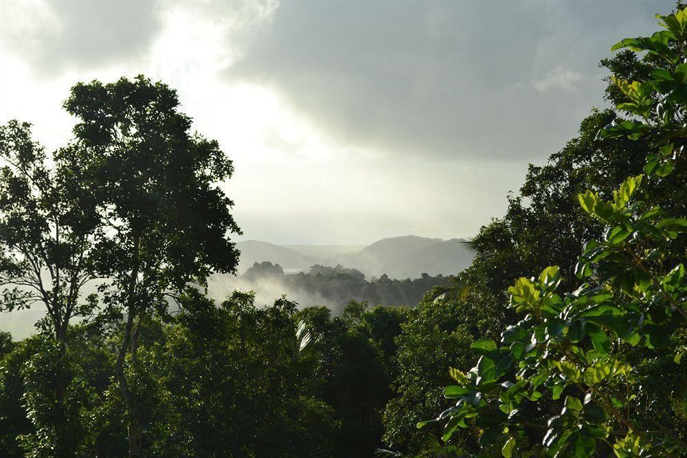 El Hotelito At The Rainforest Experience Farm Fajardo Luaran gambar