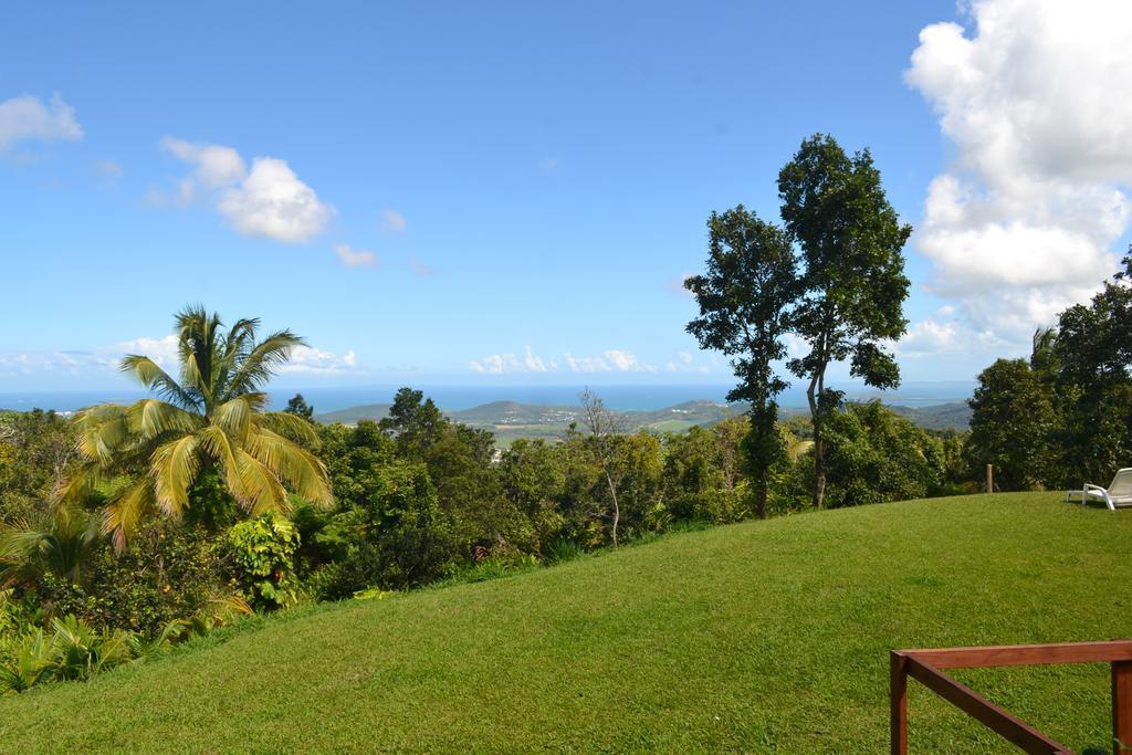 El Hotelito At The Rainforest Experience Farm Fajardo Luaran gambar
