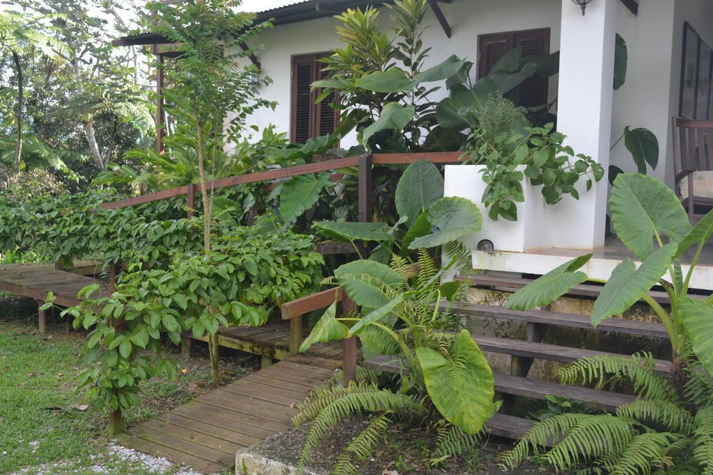 El Hotelito At The Rainforest Experience Farm Fajardo Luaran gambar