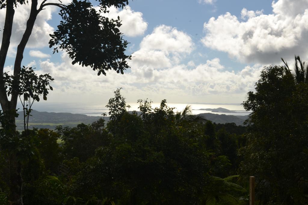 El Hotelito At The Rainforest Experience Farm Fajardo Luaran gambar