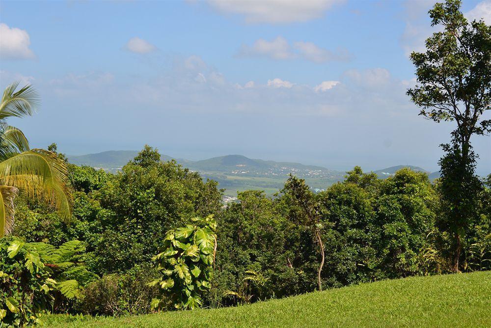El Hotelito At The Rainforest Experience Farm Fajardo Luaran gambar