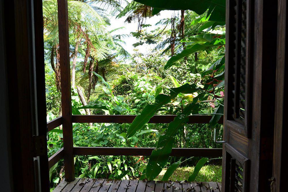 El Hotelito At The Rainforest Experience Farm Fajardo Luaran gambar