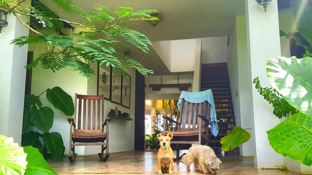 El Hotelito At The Rainforest Experience Farm Fajardo Luaran gambar
