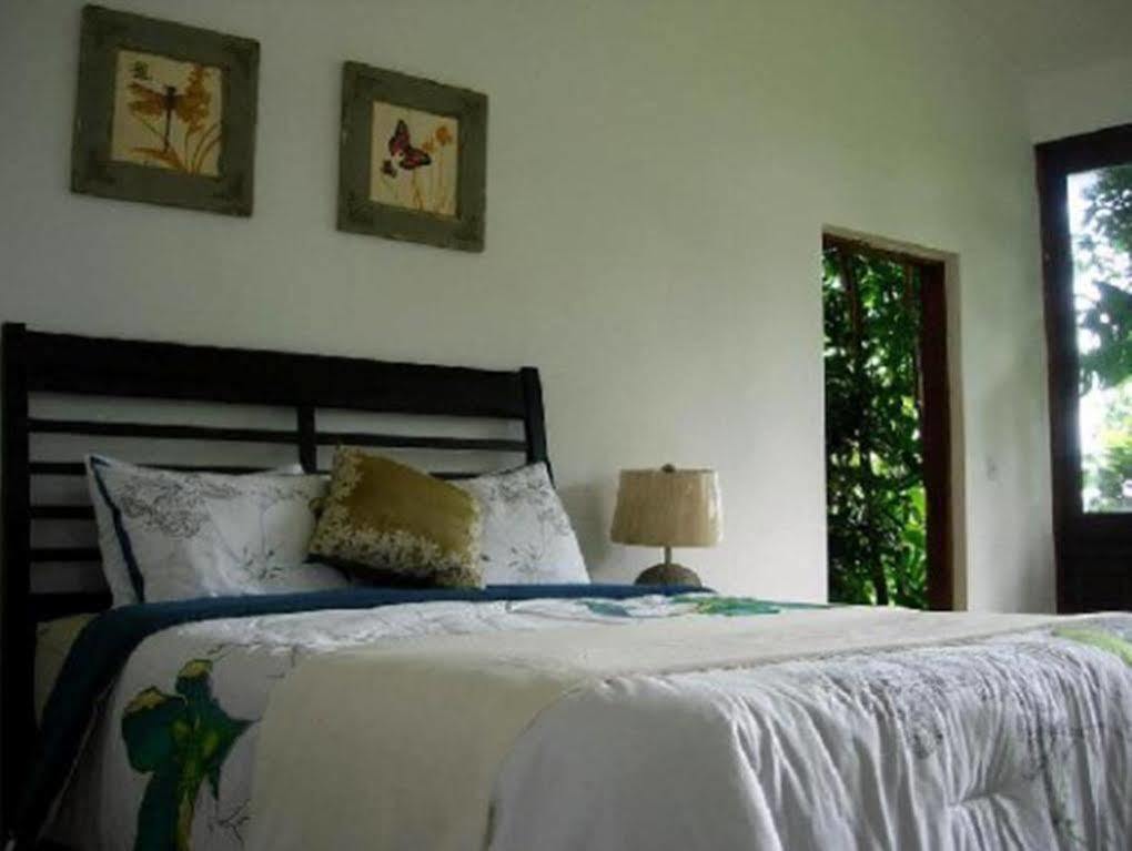 El Hotelito At The Rainforest Experience Farm Fajardo Luaran gambar